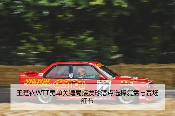 王楚钦WTT男单关键局接发球落点选择复盘与赛场细节